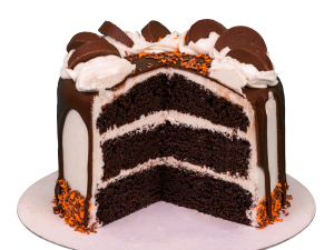 The Chocolate Orange Cake